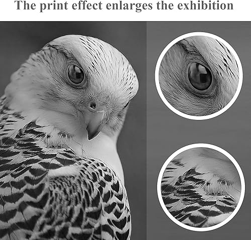 Miniatura 6 de 1 cartucho de tóner negro 36A | CB436A de repuesto para impresora HP Laserjet M1522n MFP M1523nf MFP M1120 MFP P1505 P150n, vendido por TopInk