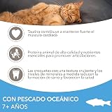 Ver la foto 4