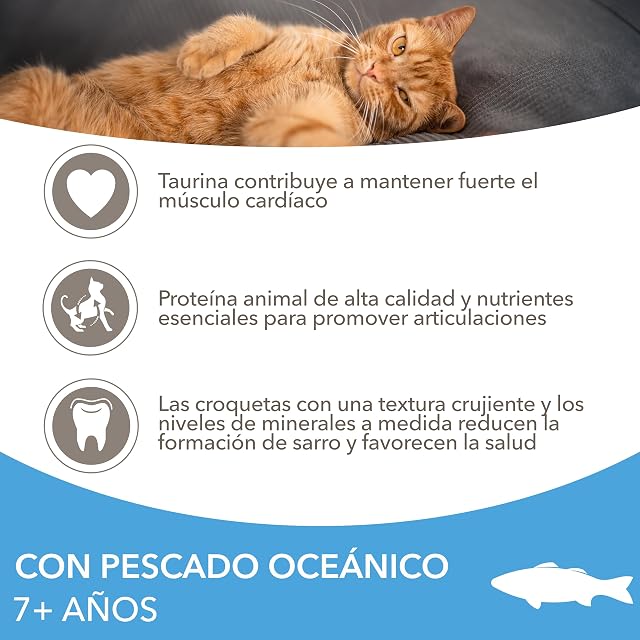 Foto 4 de 8 de IAMS Alimento Seco para Gatos Senior con Pescado oceánico, 3kg