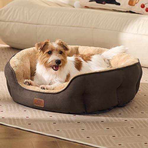 Miniatura 169 de Bedsure Camas lavables para perros, camas redondas con parte inferior antideslizante para gatos de interior, cachorros y gatitos, 20 pulgadas, gris