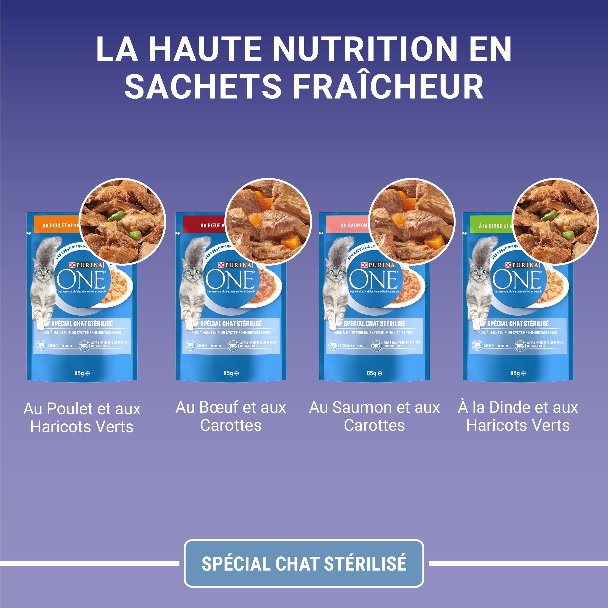 PURINA ONE | BIFENSIS | Chat Adulte Stérilisé | Soutien la vitalité du chat, les muscles et les articulations | Effilés en Sauce | Poulet, Bœuf, Saumon, Dinde | Sachets Fraîcheur | Lot de 10 (8 x 85g)