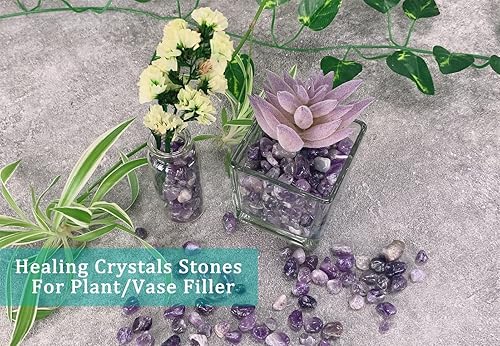 Miniatura 6 de MAIBAOTA Chips de cristal de amatista natural a granel de 1 libra, pequeñas piedras rodadas de cuarzo de cristal triturado, piedras decorativas para