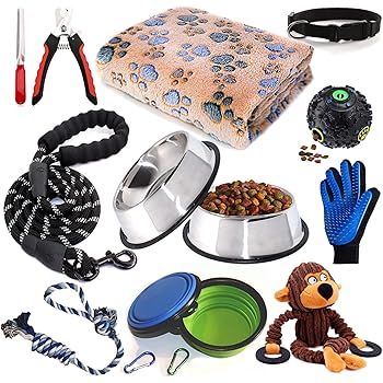 amazon dog items