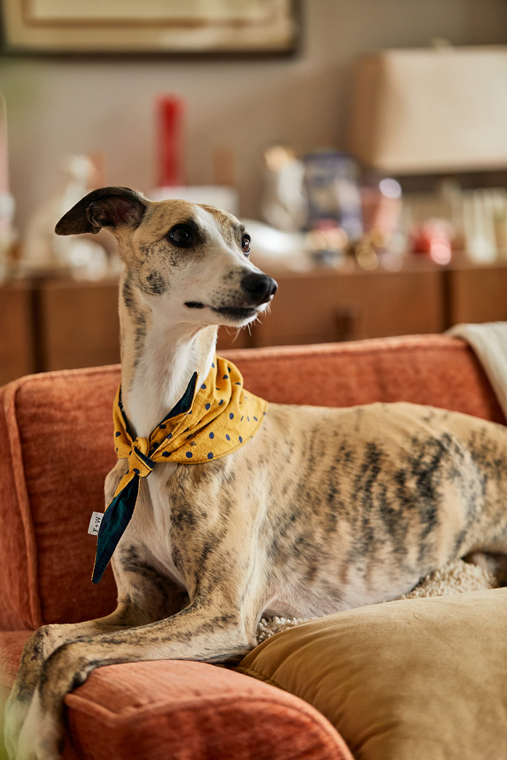 Field and Wander Bandana réversible pour Chien
