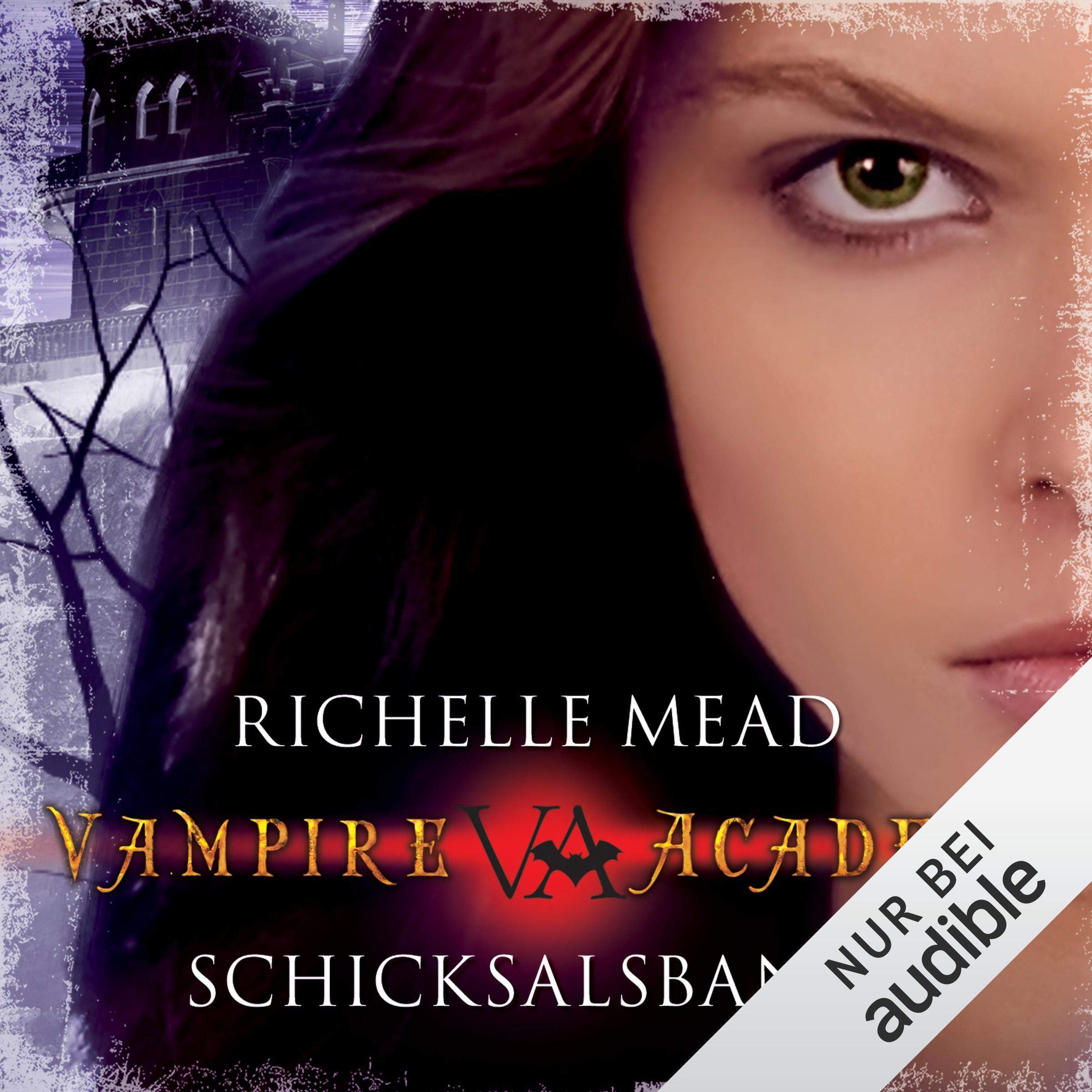 Cover art for Schicksalsbande
