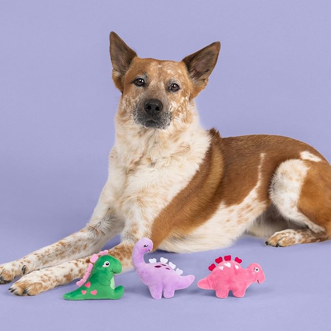 Set de 3 Juguetes de Peluche para Perro con Chirrido - Fringe Studio miniatura 4