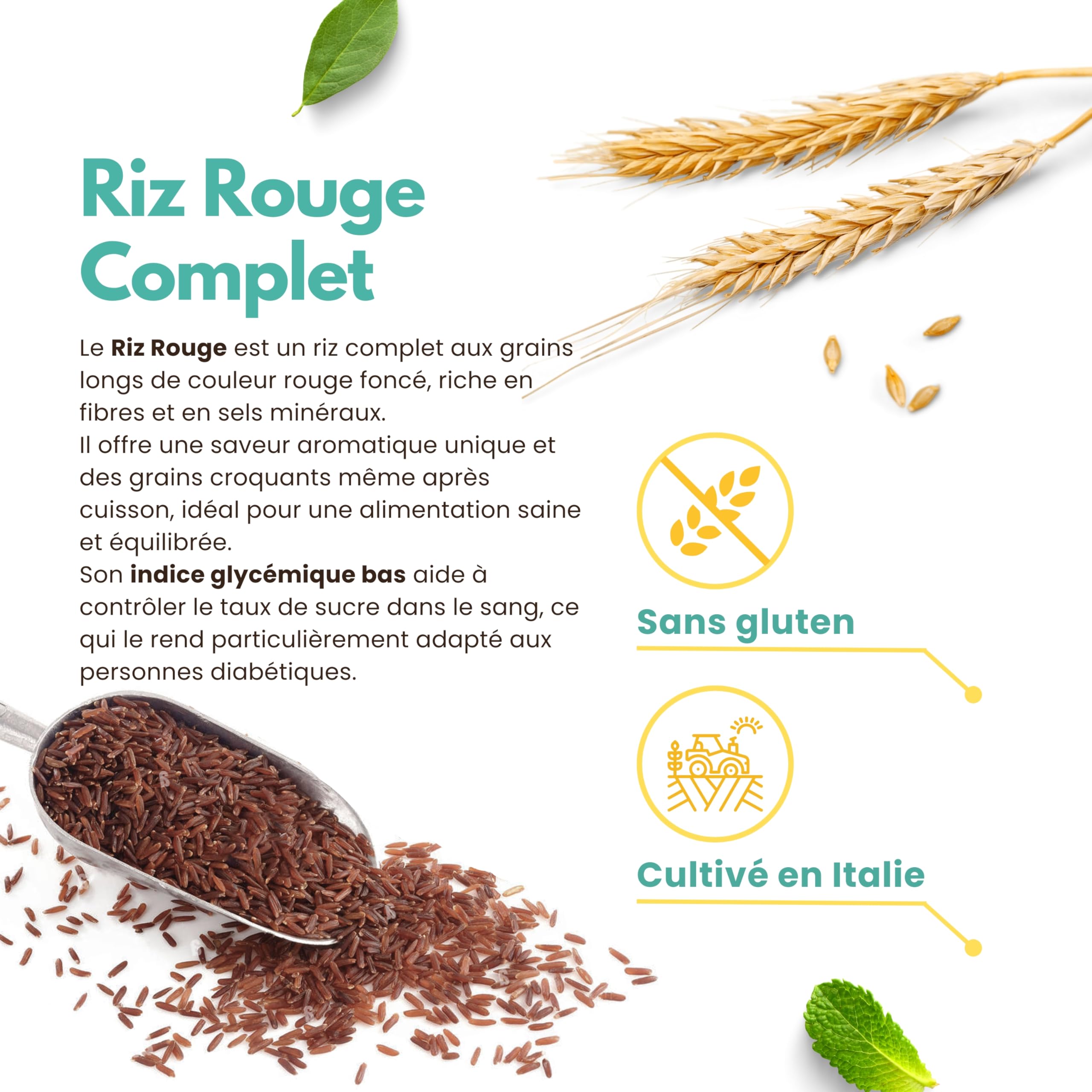 Riz Rouge Italien Complet – 2 kg (2 x 1 kg) – Riche en Fibres et Antioxydants – Sans Gluten – Idéal pour Salades et Accompagnements Sains – Piémont | 13 di Ilaria