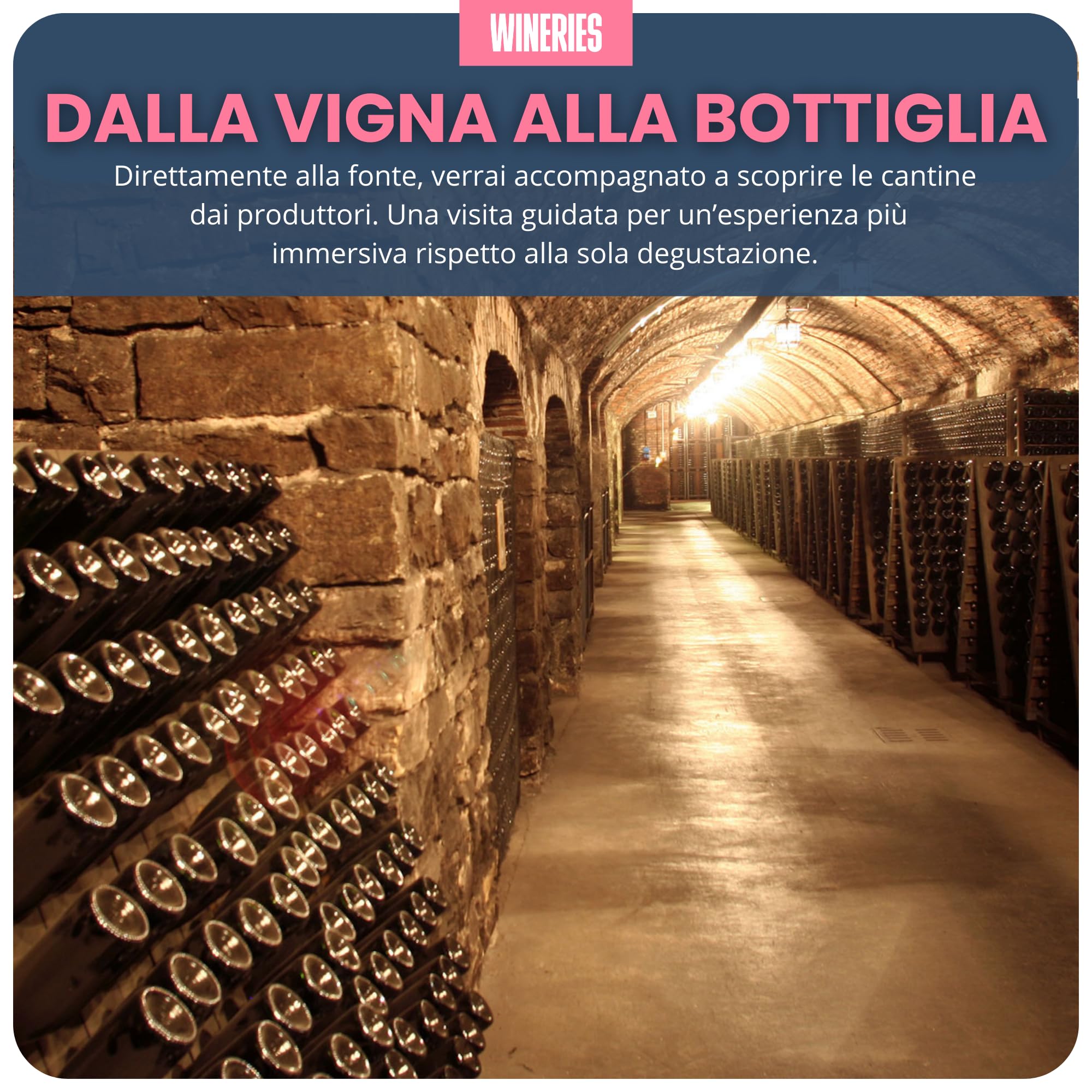Cofanetto Regalo Degustazione di Vino in Cantina, Visita Guidata in Cantine e Vigneti Italiani – Voucher 12 Mesi - Idea Regalo per Amanti del Vino