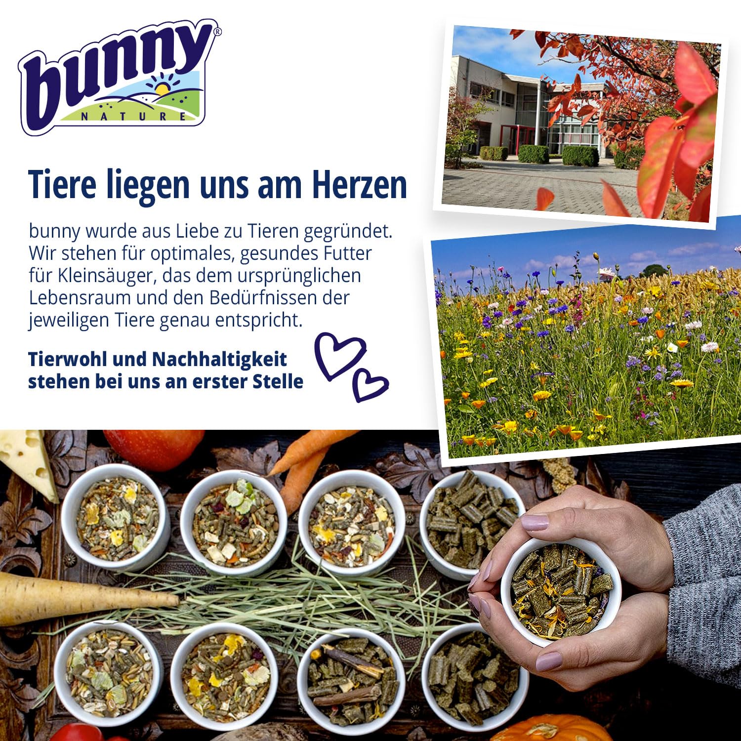 bunnyNature Timothy 3kg | Hochwertiges Heu für Zwergkaninchen & Nagetiere | Made in Germany | Natürlicher Zahnabriebt | Tierwohl & Qualität