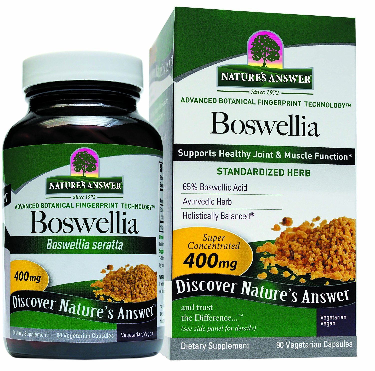 Amazon.com: Nature's Answer Boswellia Extract - 90 Vegetarian