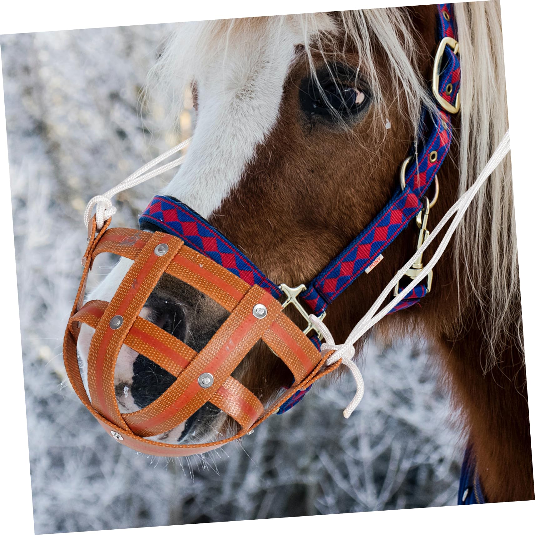 Housoutil Muselière De Pâturage Pour Chevaux Couvre-bouche Respirant Léger Protège Les Morsures Facile à Nettoyer Mettre