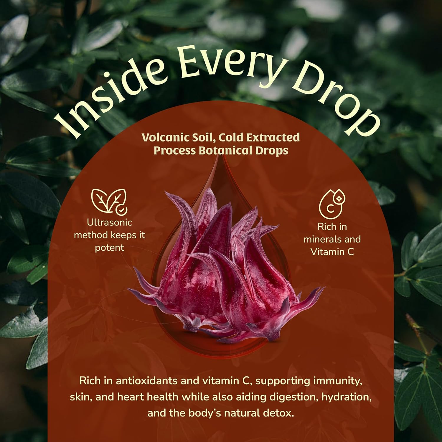 Hibiscus Extract 50ml – Antioxidant-Rich Flor de Jamaica Liquid | Hibiscus Tea Alternative | GLP-Friendly, Plant Based, Vegan, Non-GMO – 60 Servings