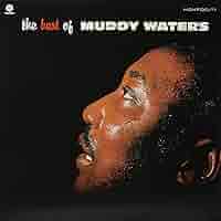 ■USオリジナル盤■ブルース歴史的名盤◾️MUDDY WATERS ■マディ・ウォ 爆音で聴きたいマディウォーターズの名盤中の名盤！ボーナス