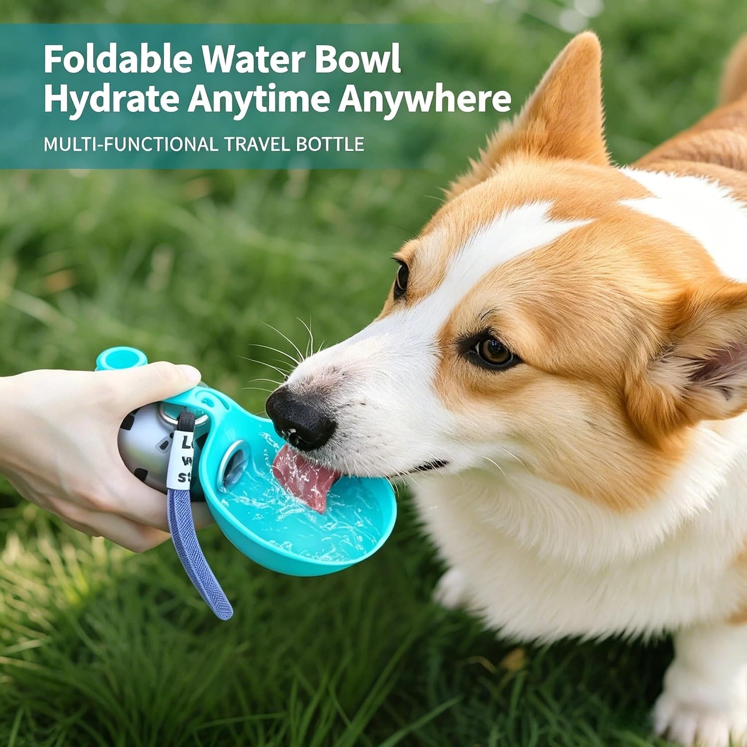 Foldable Dog Water Bottle, Stainless Steel Dog Travel Water, Leak Proof Pet Travel Water Bottle, Portable Pet Water Bottle, Outdoor Travel Drinking Dispenser for Dogs Walking Hiking Camping