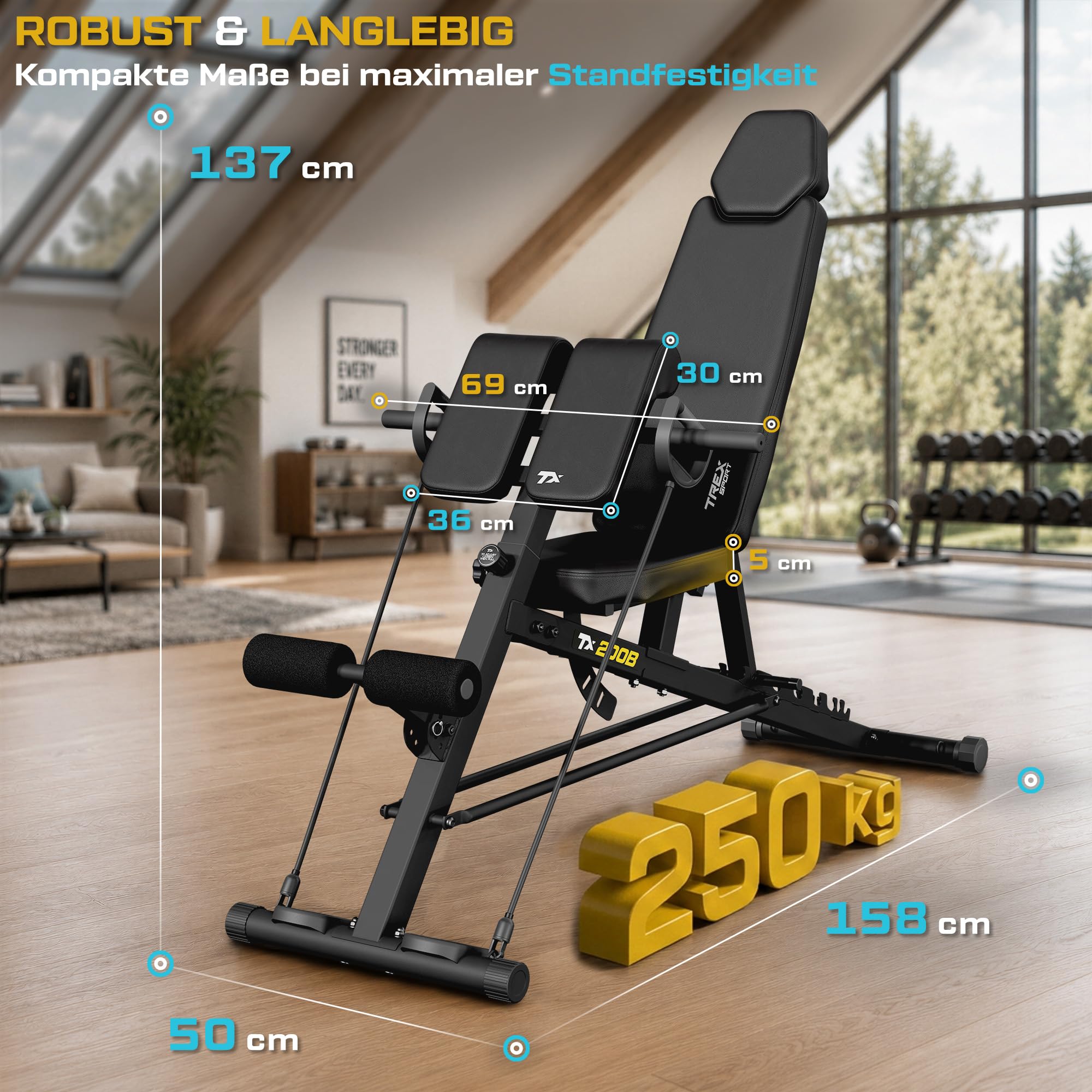 TREX SPORT Hantelbank verstellbar bis 250 kg mit Expander, Curlpult TX-200B | Multifunktions Trainingsbank, Flachbank für Ganzkörper-Workout, 8-Fach Verstellbare Rückenlehne & 3-Fach Verstellbarer Sitz
