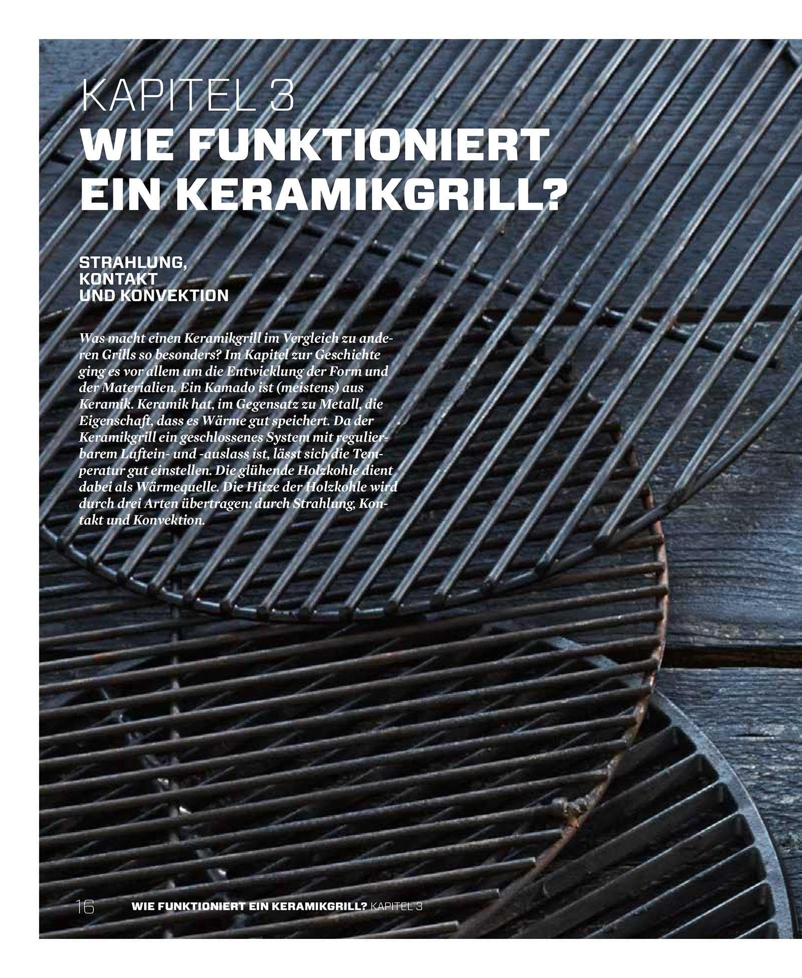 Der Keramikgrill: Technik und Rezepte