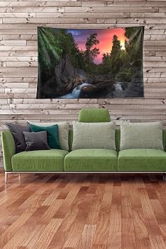 Ontheclouds Çok Renkli Doğa Desenli Leke Tutmaz Kadife Kumaş Duvar Örtüsü Duvar Halısı Tapestry, 70 x 100