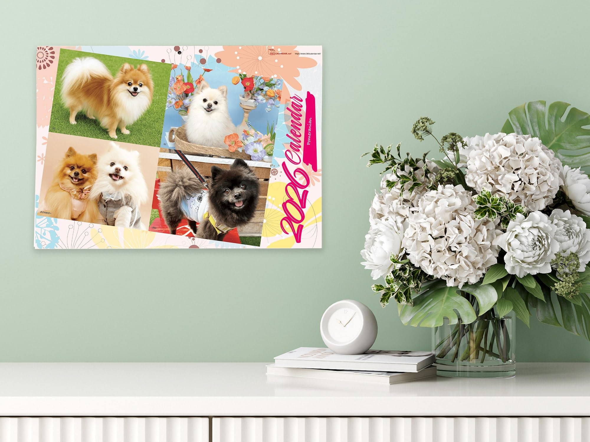 Amazon | 365カレンダー 2026年 ポメラニアン 壁掛け 卓上カレンダー
