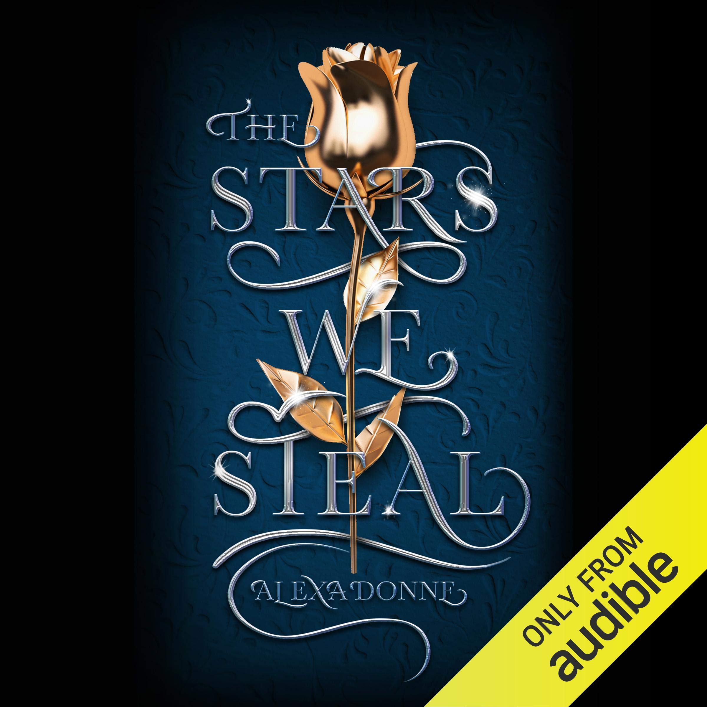 Cover art for The Stars We Steal