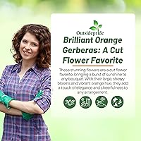 Vista 21 de Outsidepride Bicolor Mix Gerbera Seeds - 10 Pcs Perennial, Compact & Low Maintenance, Flower Seeds for Planting w/Vibrant Mixed Blooms, Ideal for