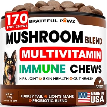 Turkey Tail Mushroom Supplement for Dogs - 170 Chews - Mushrooms for Dogs - Reishi, Lions Mane, Glucosamine Multivitamin - Immune Booster, Gut, Hip & Joint Health Support Vitamins, Energy & Skin