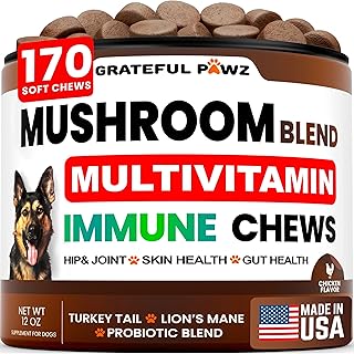 Turkey Tail Mushroom Supplement for Dogs - 170 Chews - Mushrooms for Dogs - Reishi, Lion’s Mane, Glucosamine Multivitamin - Immune Booster, Gut, Hip & Joint Health Support Vitamins, Energy & Skin