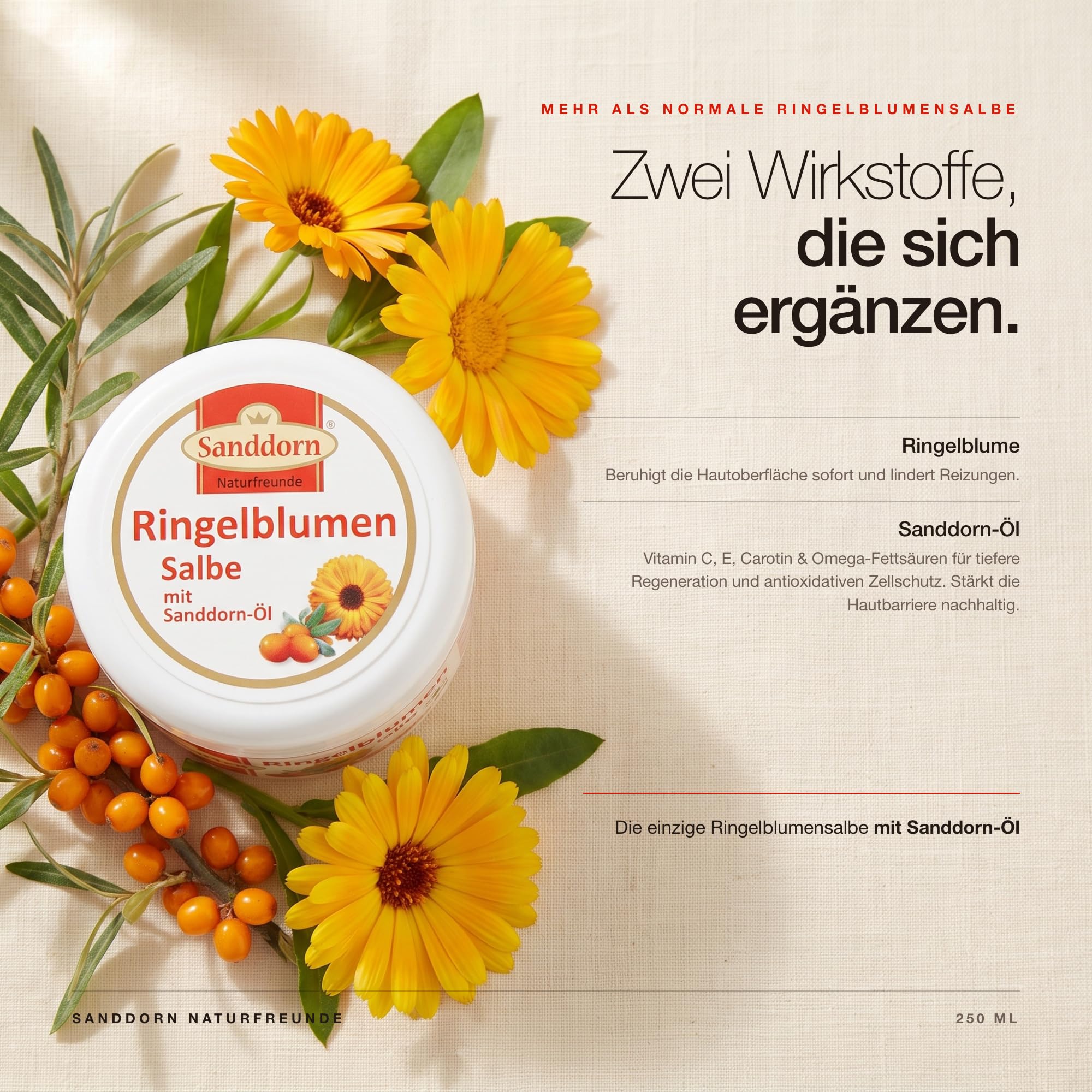 5-er Set RINGELBLUMEN SALBE mit Sanddorn-Öl | 250 ml | Calendula Creme für trockene & rissige Haut | Made in Europe