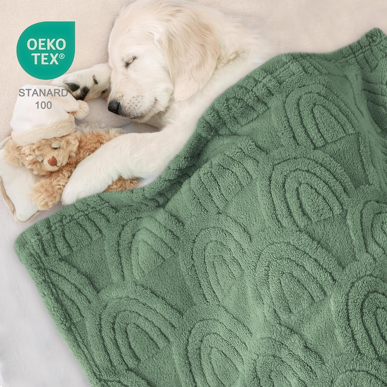 HOMRITAR Baby Blanket for Boys Super Soft Fluffy Fleece Rainbow Blankets Warmer Comfy Reversible Shaggy Cozy for Toddler Baby Nursery Stroller Crib Shower Gifts, Olive, 30 x 40 Inches - Image 2