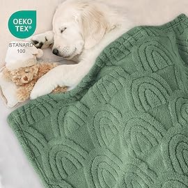 HOMRITAR Baby Blanket for Boys Super Soft Fluffy Fleece Rainbow Blankets Warmer Comfy Reversible Shaggy Cozy for Toddler Baby Nursery Stroller Crib Shower Gifts, Olive, 30 x 40 Inches