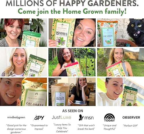 Miniatura 9 de Más de 2500 semillas de zanahoria (10 variedades) Semillas de zanahoria arcoíris  Semillas de vegetales de alta germinación obtenidas en Estados