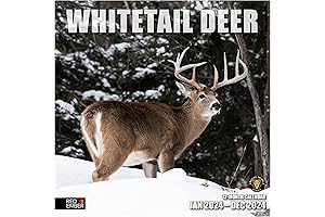 Hunting Calendar 2024 by RED EMBER: Whitetail Deer Wonders - Your Guide...
