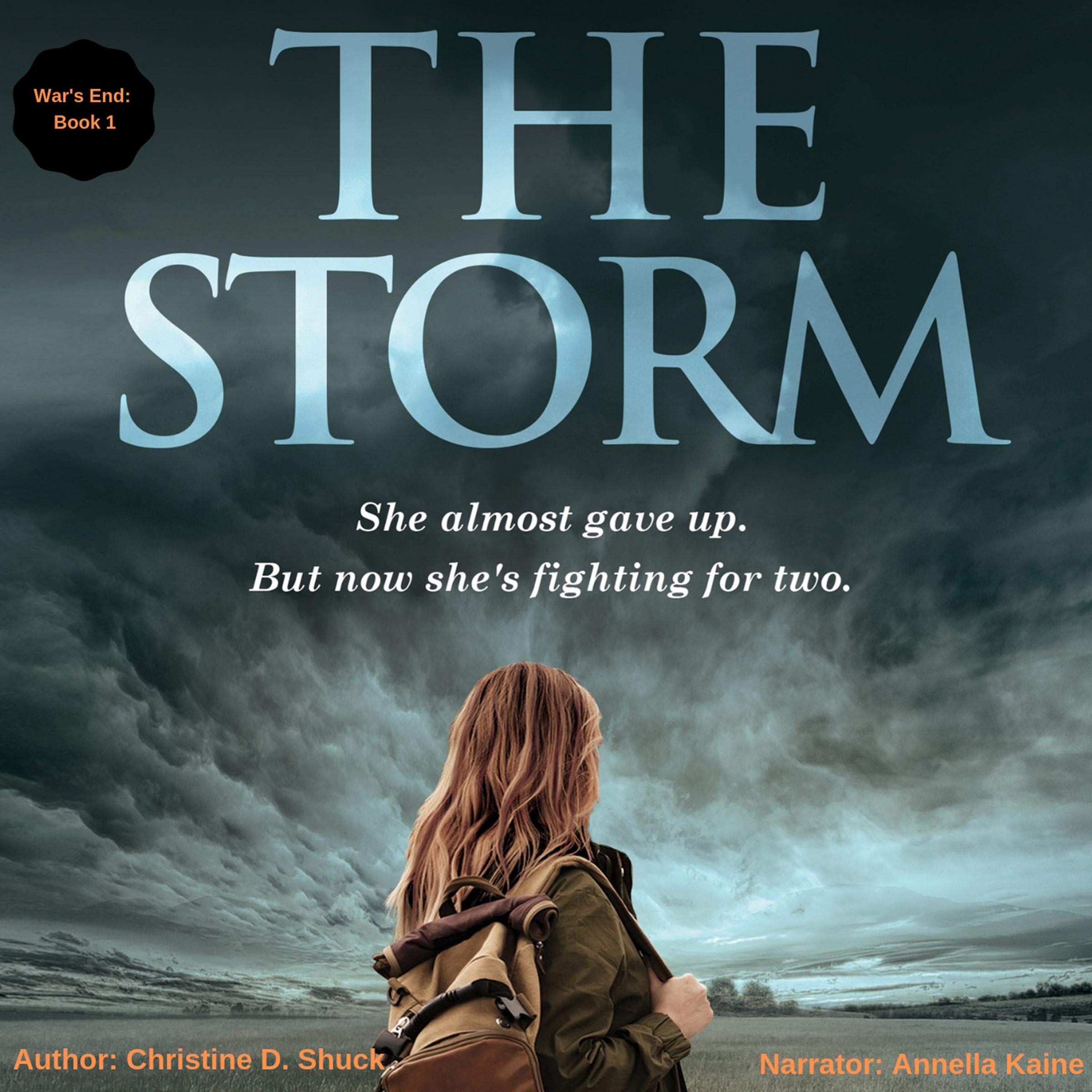 Cover art for The Storm