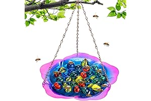 Bee Waterer with Vibrant Flower Design: A Vital Hydration Source for Bees