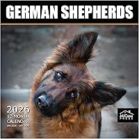 Vista 49 de MICASA PRESS Corgi Butts - Calendario de pared 2026 de 12 meses 12 x 24 pulgadas abierto Papel grueso y resistente Regalo de vacaciones