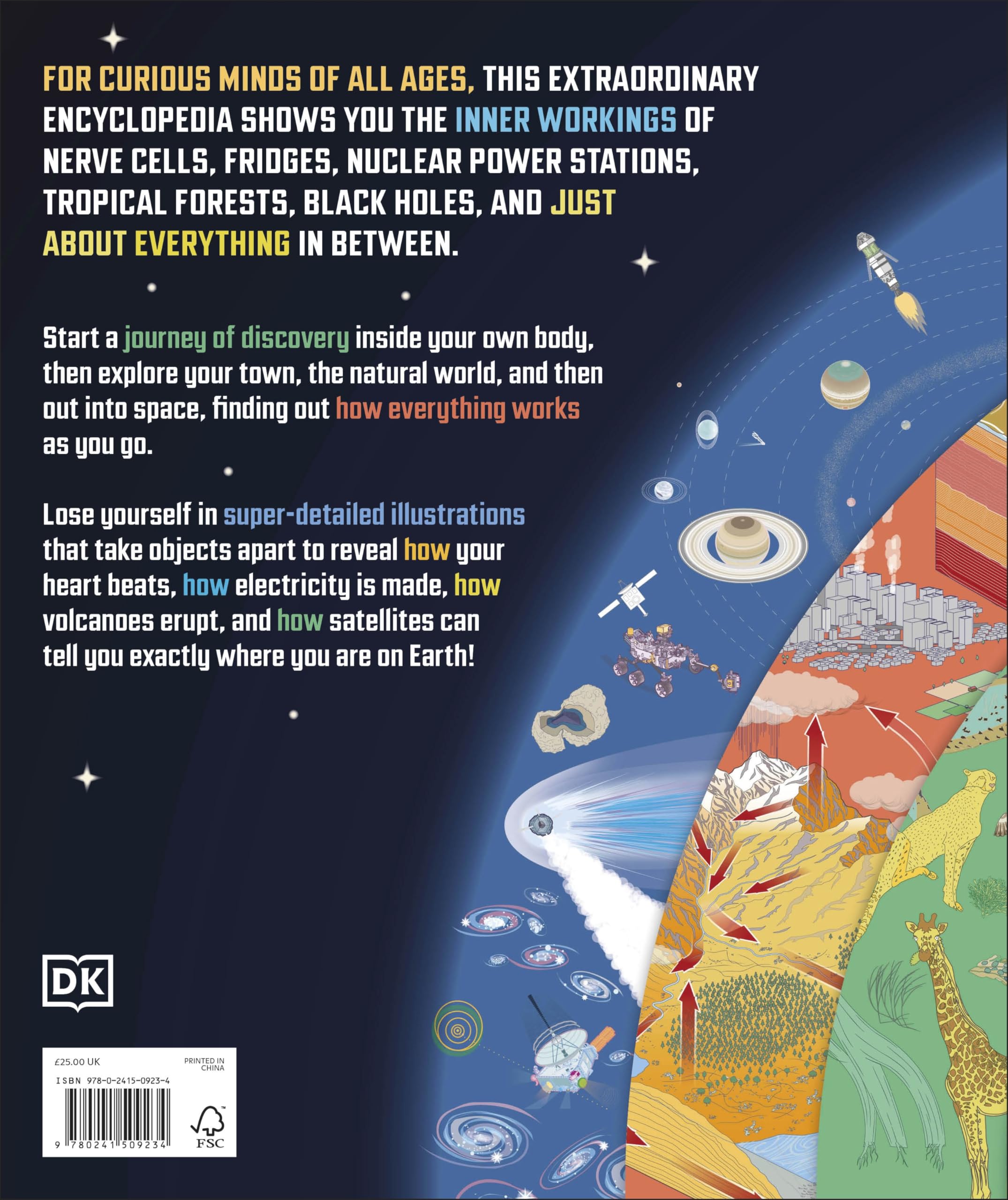 How Everything Works: From Brain Cells to Black Holes