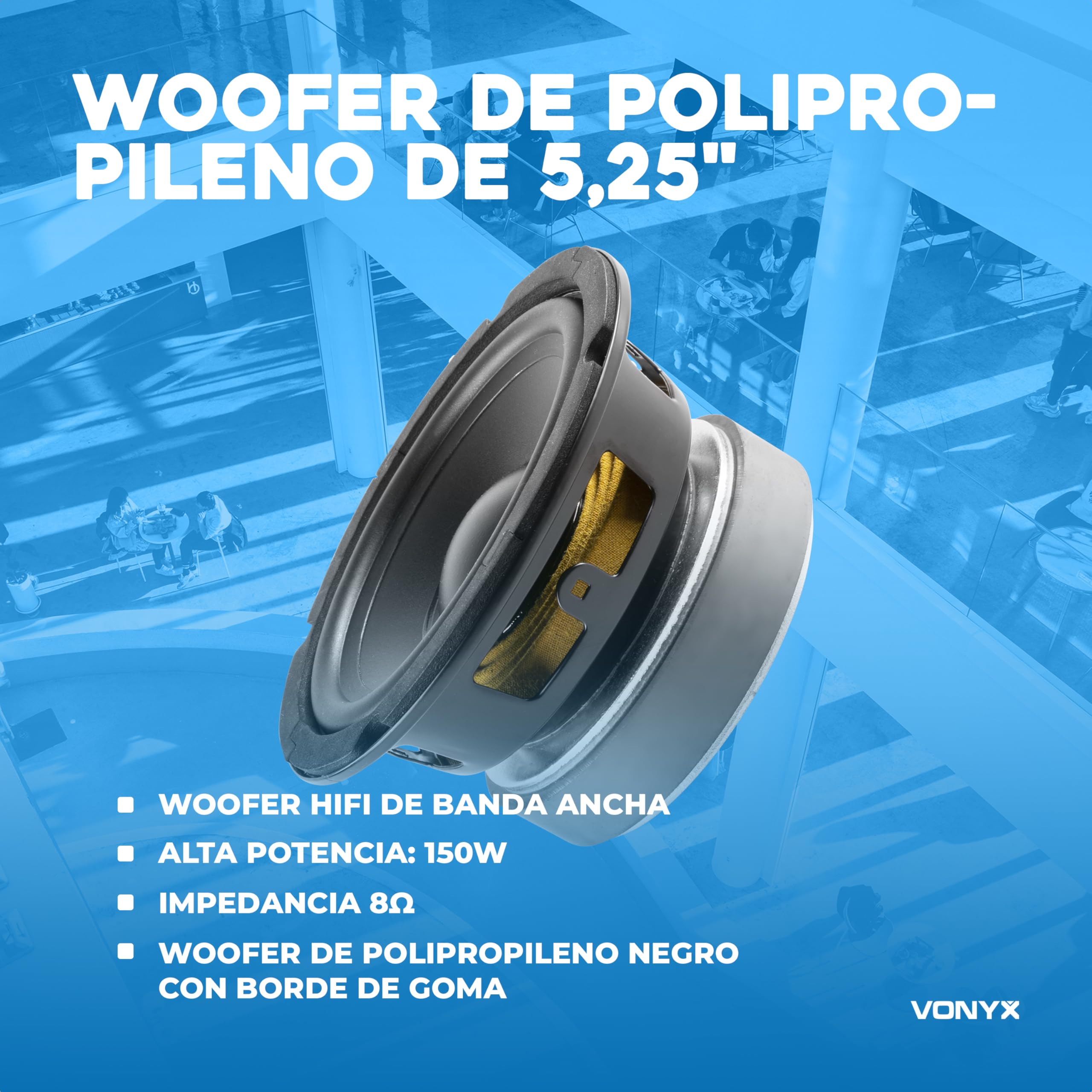 Fenton WPP13 - Woofer de 13 cm (5,25"), 150W máx., suspensión de Espuma, Bobina Resistente al Calor, Recambio Ideal para Altavoces HiFi o Montaje de Sistemas de Sonido Personalizados