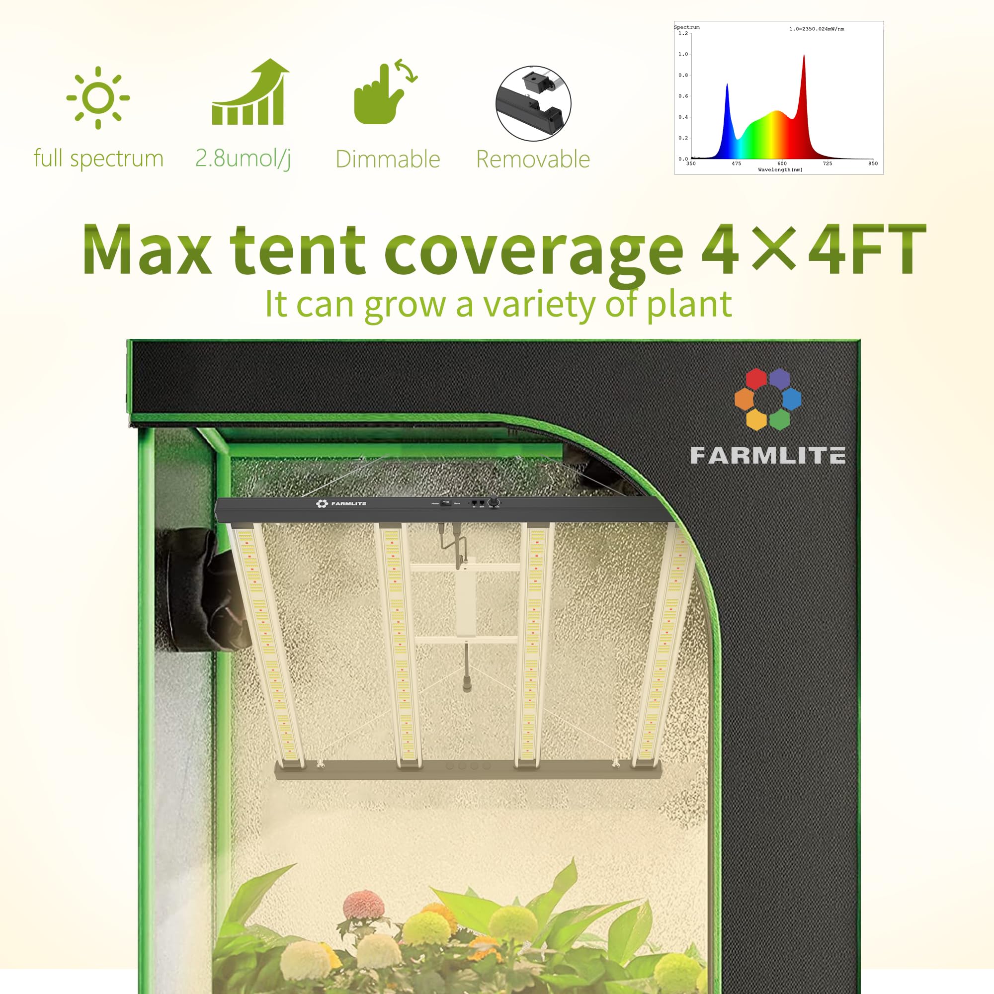 https://m.media-amazon.com/images/I/817btPGJWUL.jpg