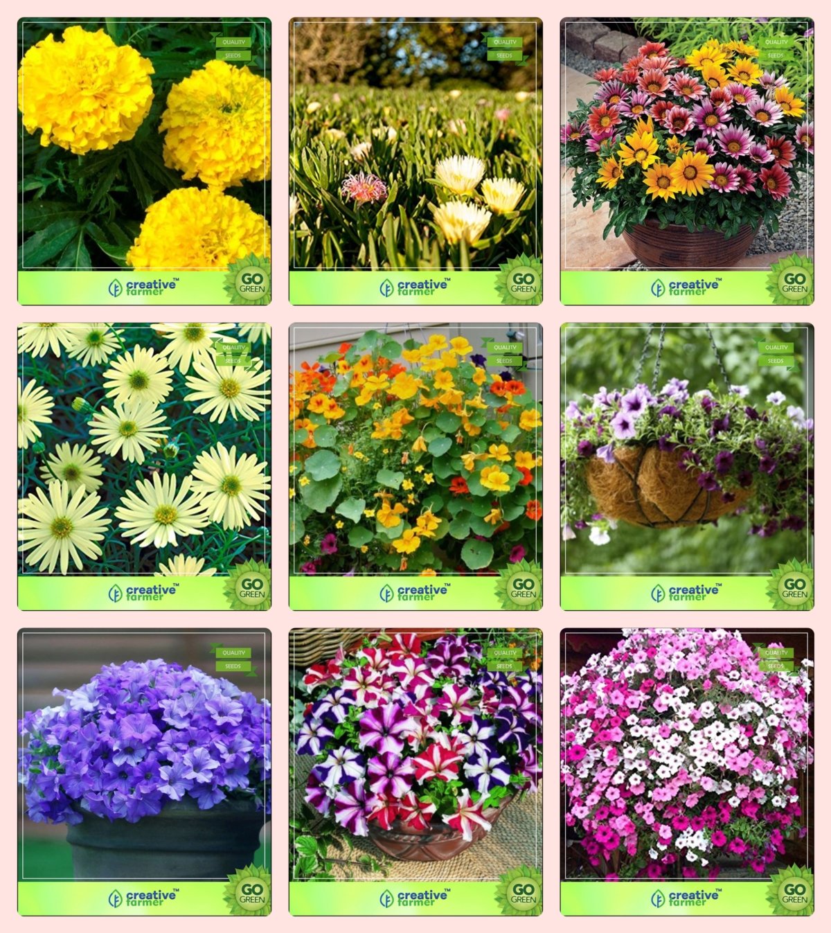 Creative Farmer Flower Seeds Combo Marigold (Dhan Basanti, Burf-Yellow, Bolero Red), Metrecaria Gold Star, Nasturtium, Petunia (Blue, Star), Phlox Beauty Garden Flower Seeds Pack (B076M6XYGW) Amazon Price History, Amazon Price Tracker