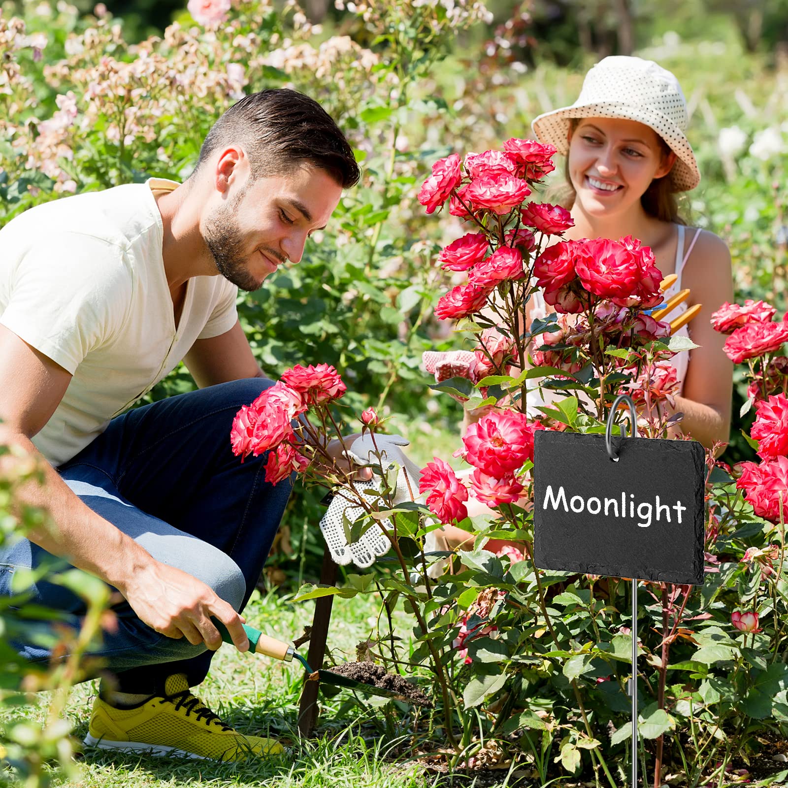 Poeland Lot de 10 plaques en ardoise pour plantes, résistantes aux intempéries, réutilisables, avec tige en métal