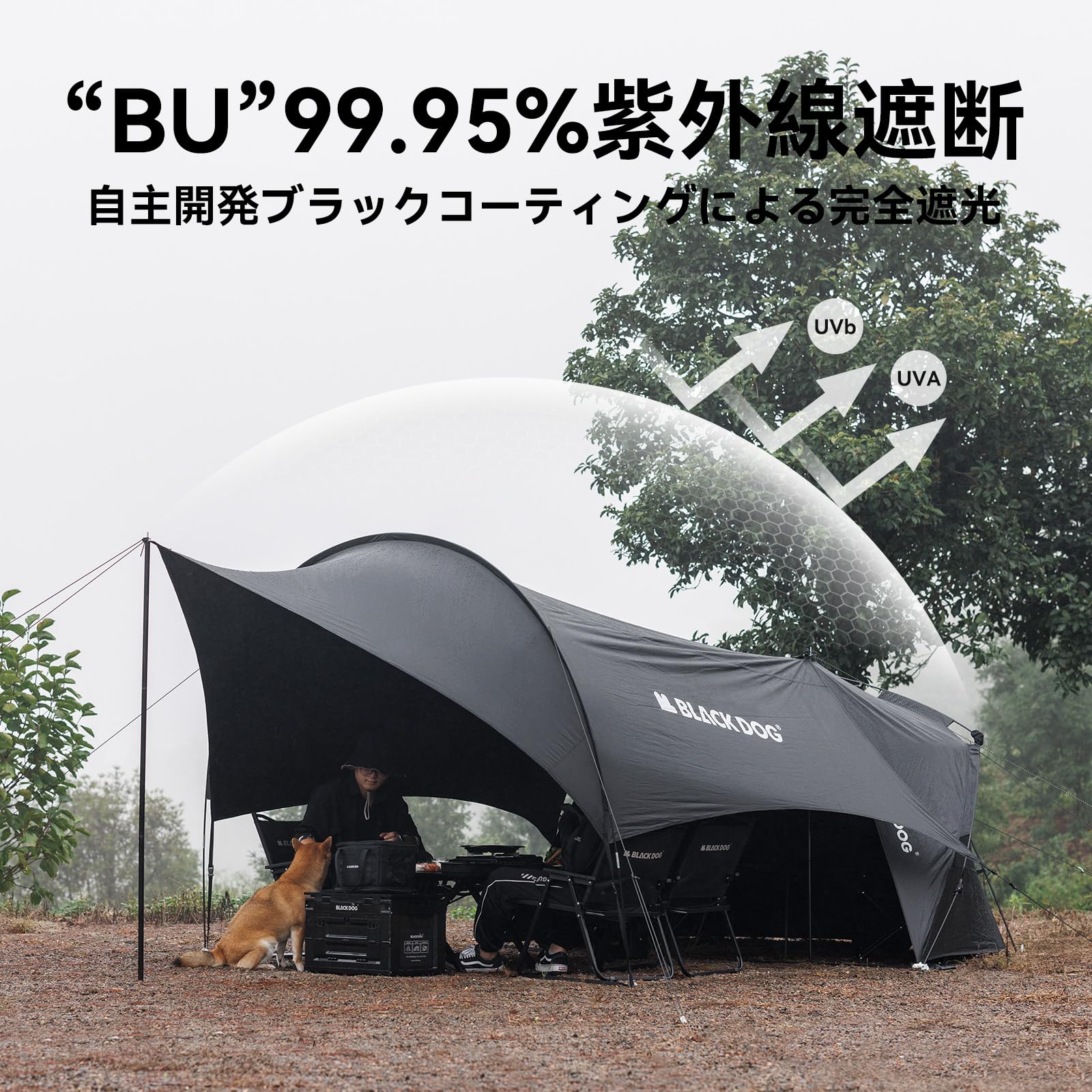 Amazon.co.jp: 【公式】BLACKDOG ワンタッチテント 影裏2.0
