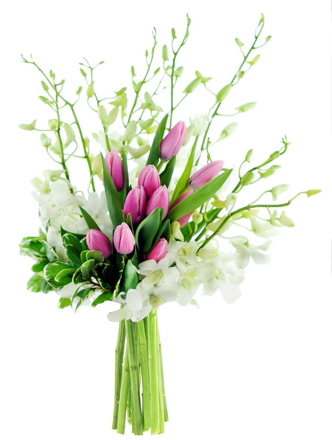 KaBloom - Special Sunday Brunch with Orchids and Tulips - Fresh Flowers for Birthday, Valentine's & Mother's Day