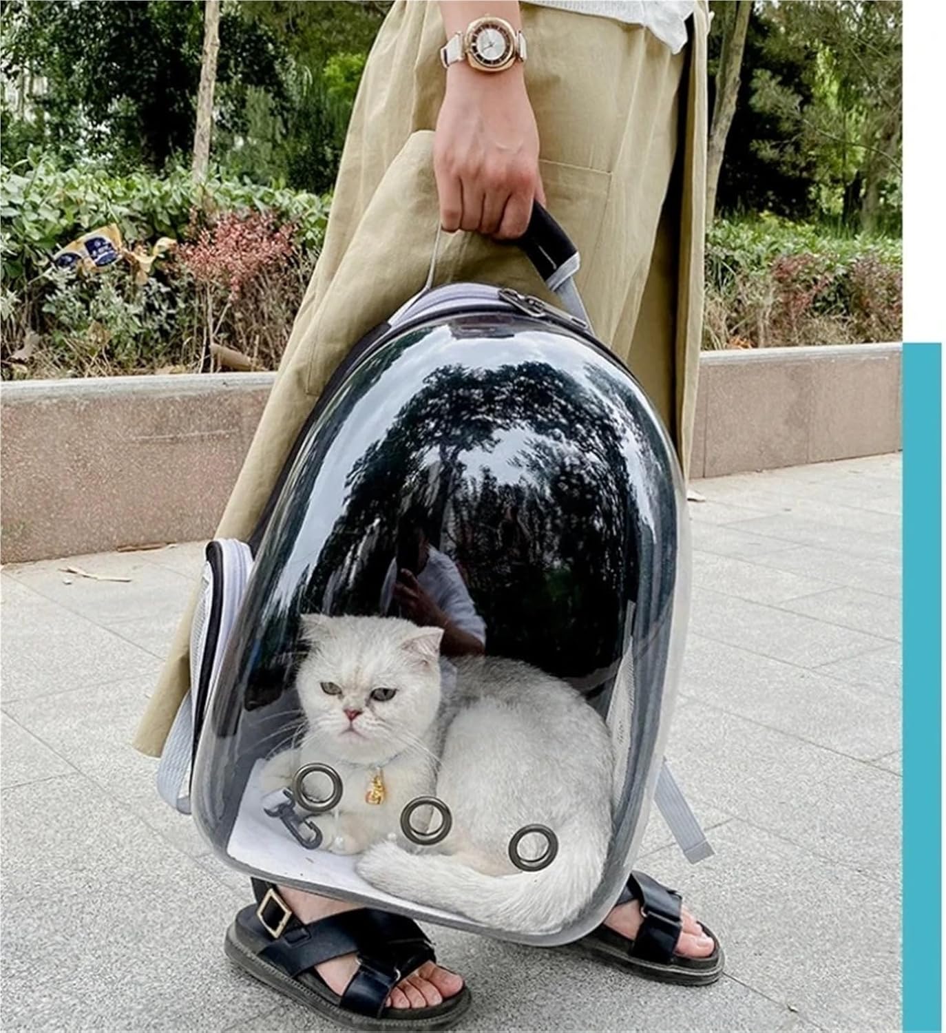 透明ペットバックパック 軽量 ポータブル 通気性 折りたたみ式 猫 犬用 アウトドア 旅行 アドベンチャー(With-Cover)