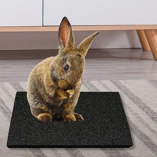 Miniatura 7 de Hamiledyi Almohadillas para pies de conejo, 4 piezas de piedra de dientes de lava de animales pequeños para conejos, hámster, cobayas, ratas,