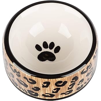 beautiful dog bowls