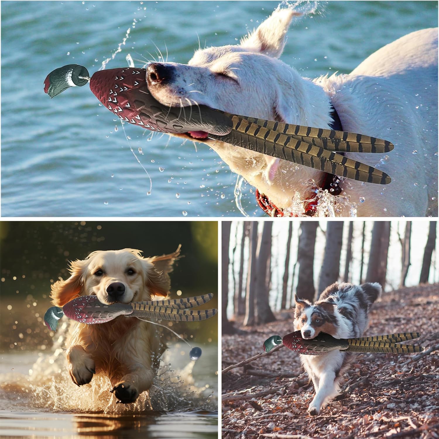 Dummy Jouet d'entraînement pour Chien Jouet pour Chien Canard de Dressage pour Chien Jouet Colvert Canard de Chasse pour Chiots imitant Canard Dummy Tétine d'entraînement pour Chien