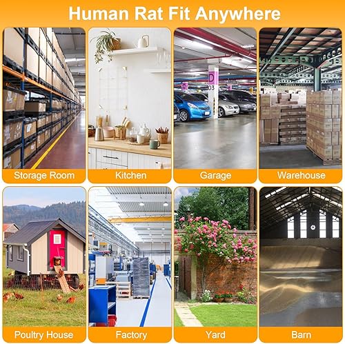 Miniatura 9 de Trampa de jaula humana para ratas de 2 puertas, jaula de metal para animales vivos, pequeñas jaulas para roedores de liberación de capturas, trampas