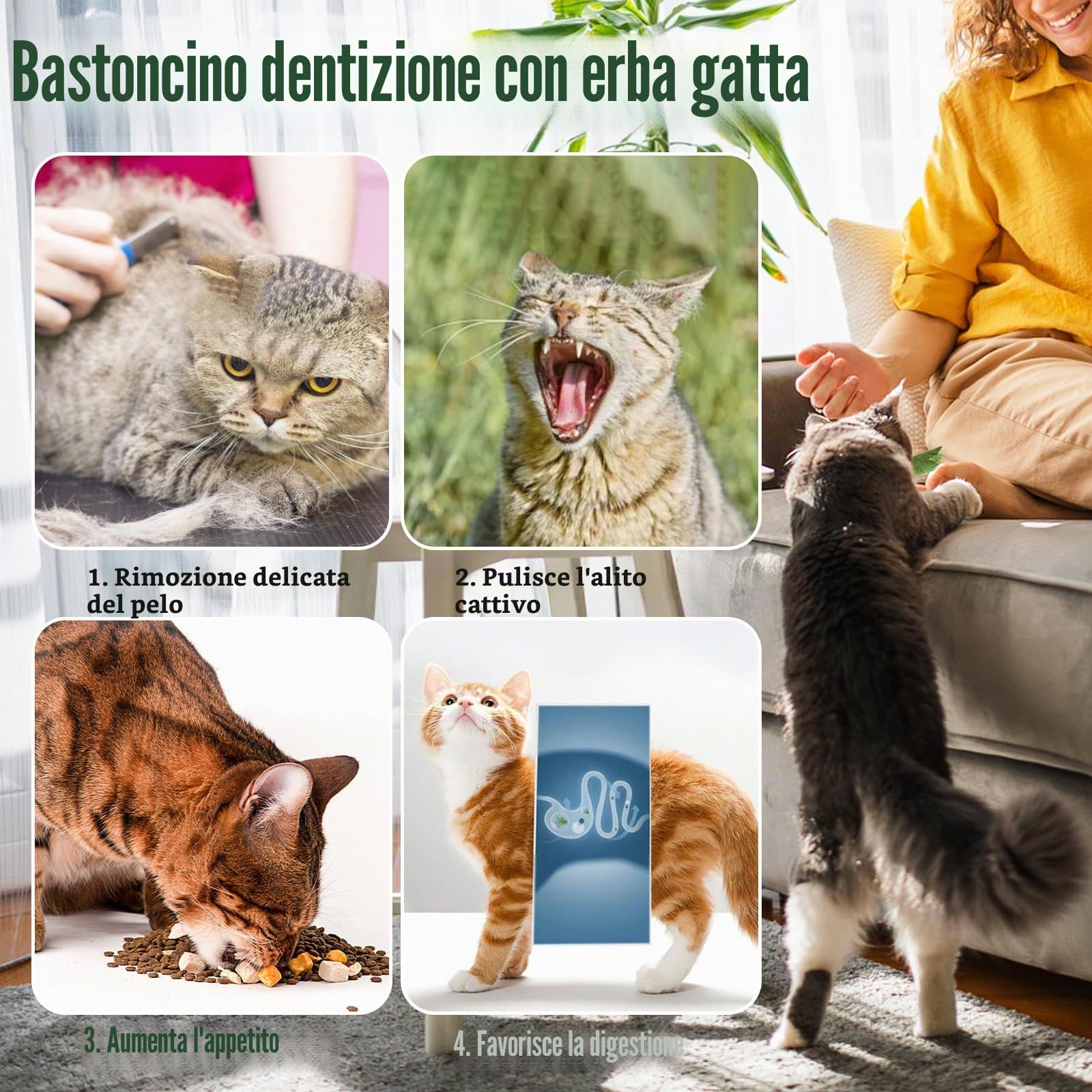 120g Erba Gatta Bastone Di Dentizione Palle Di Pelo, Bastoni Da Masticare Per Gatti, Erba Gatta Giocattoli Bastoni Da Masticare Gattino Da Interno Bastone (120g)
