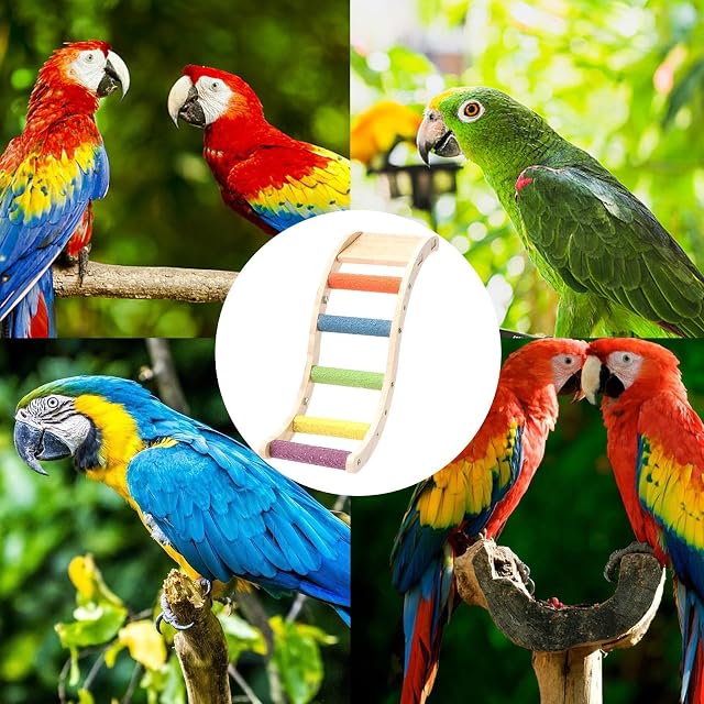 Foto 5 de 8 de Escaleras para pájaros y Loros, Juguetes para Colgar