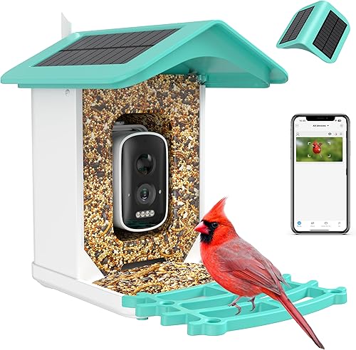 isYoung Alimentador inteligente para pájaros con cámara identifica especies de pájaros compañero solar para pájaros con conexión inalámbrica WiFi