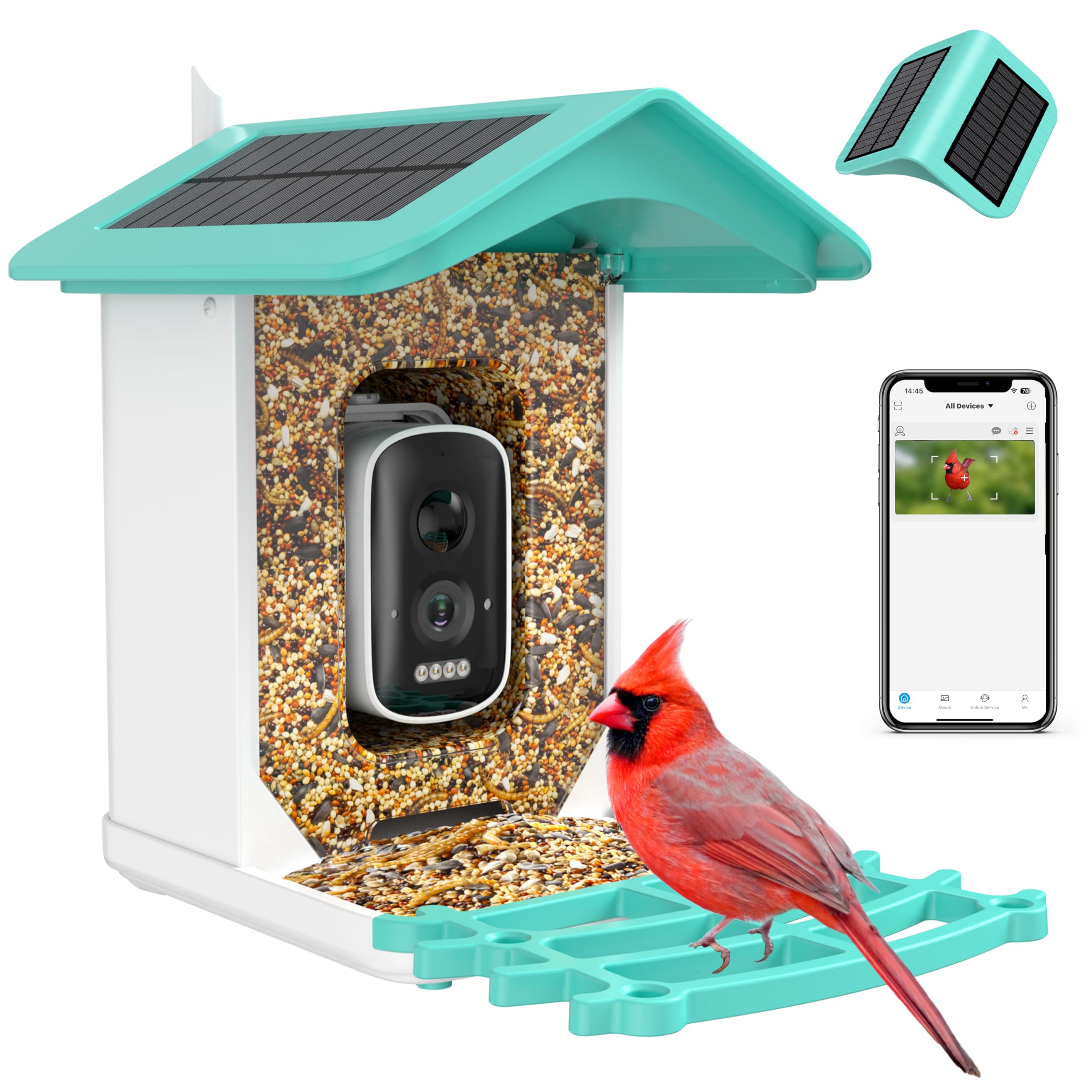 Amazon.com: Smart Bird Feeder Camera (Dual Panel), Solar Powered